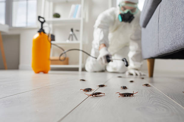 Post-Treatment Bed Bug Interceptor Monitoring in Cedar Rapids